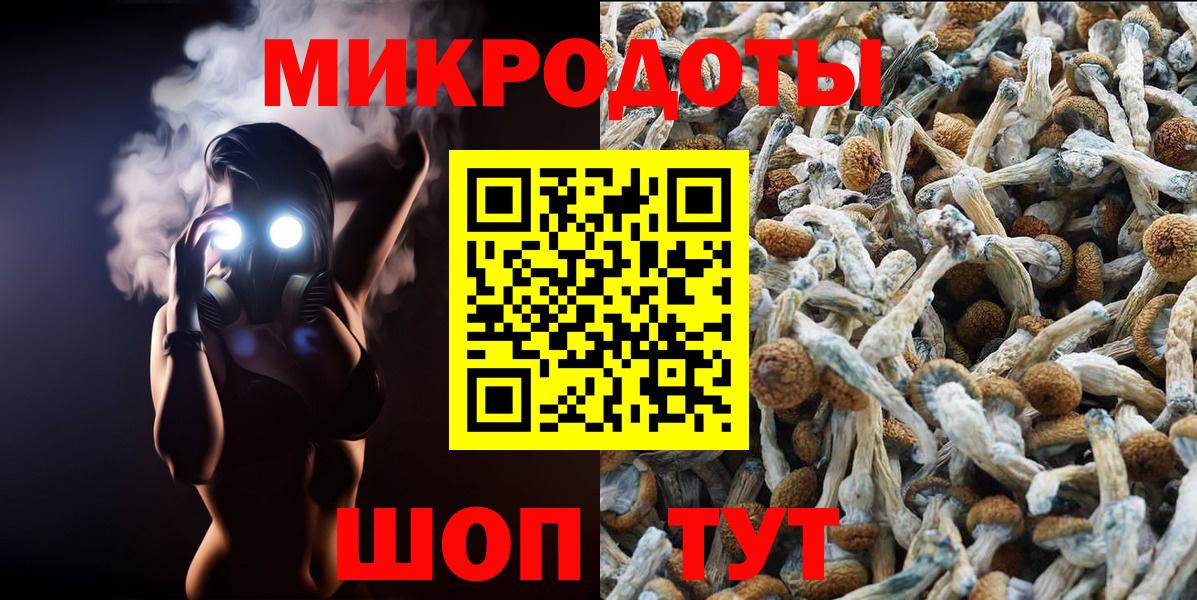 купить   Псилоцибиновые грибы Psilocybine cubensis  Вход с VPN  Мурино  Псилоцибиновые грибы GOLDEN TEACHER 