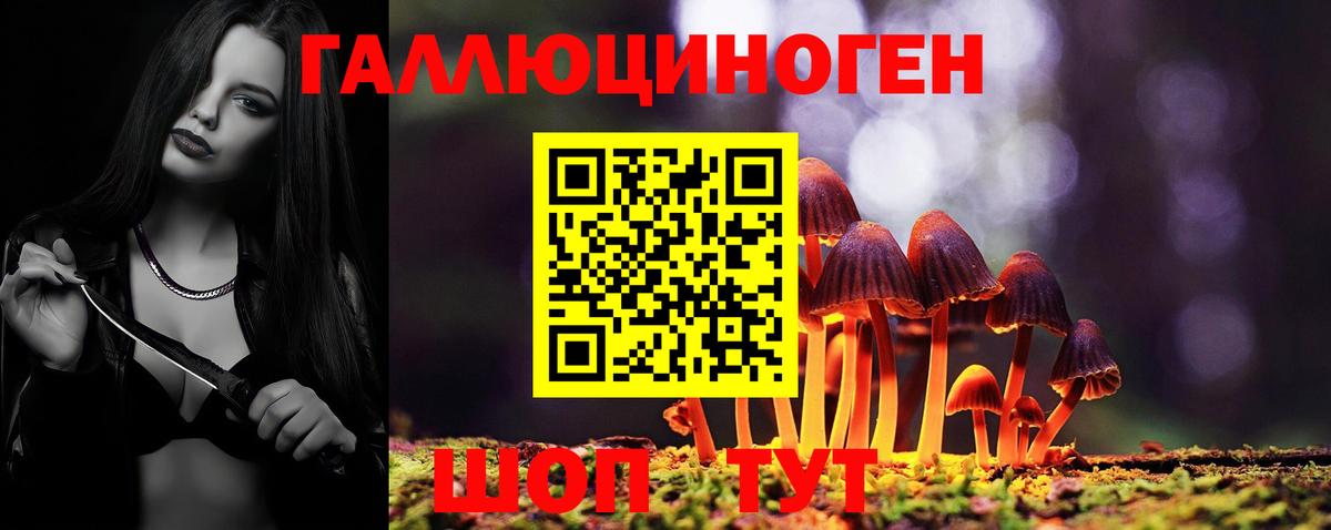 Псилоцибиновые грибы Psilocybine cubensis Мурино