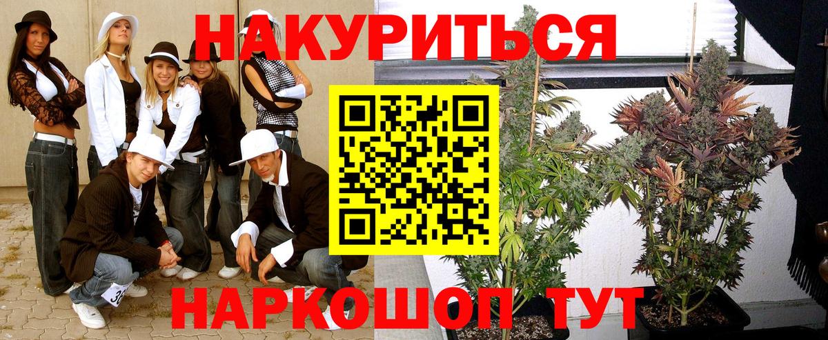 Каннабис индика  Вход с VPN  Мурино  Марихуана VHQ  Шишки марихуана планчик 